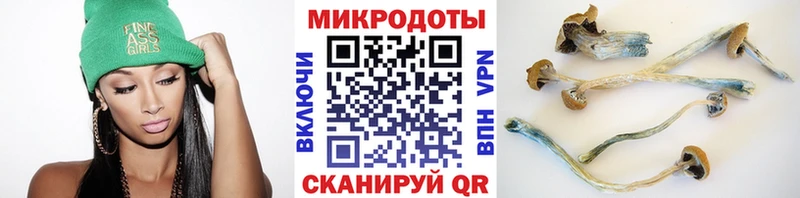 Галлюциногенные грибы мухоморы  Лабинск 