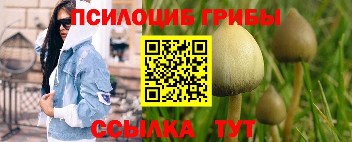 Псилоцибиновые грибы прущие грибы Лабинск